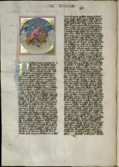 Samson u timnatských vinic holýma rukama zabíjí lva, Bible boskovická